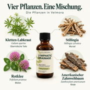 Die vier Pflanzen in Velmora